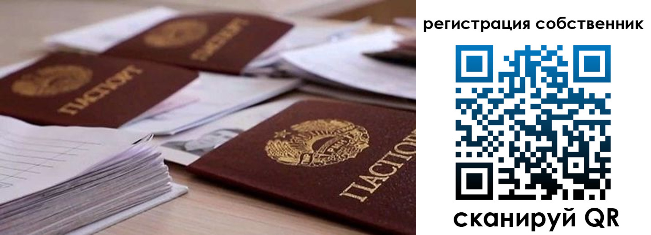 прописка штамп в Борзе